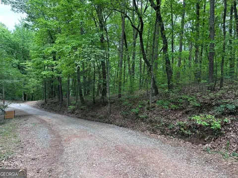 Tr1tr3 Flat Branch Trail, Ellijay, GA 30540