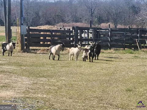 406 Mac Thompson Rd, Cochran, GA 31014 photo 22
