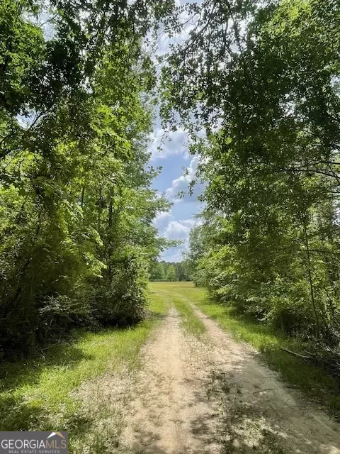 3161 Pollett Rd, Wadley, GA 30477 photo 2