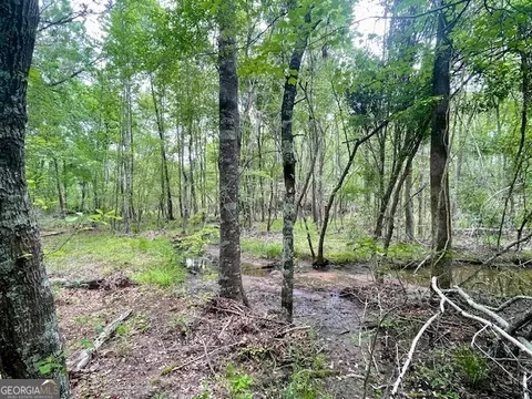 3161 Pollett Rd, Wadley, GA 30477 photo 6