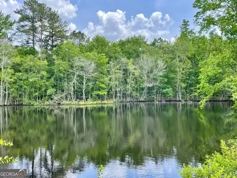3161 Pollett Rd, Wadley, GA 30477 photo 13