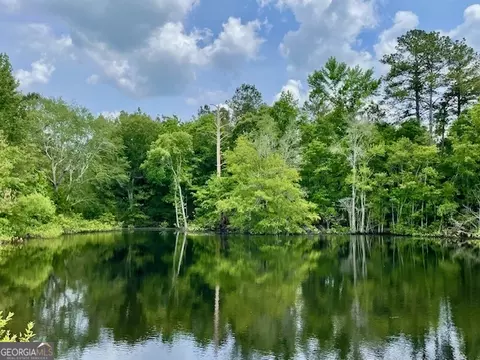 3161 Pollett Rd, Wadley, GA 30477 photo 8