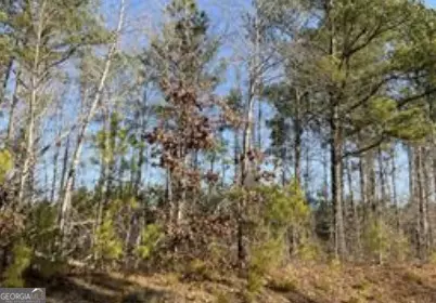 --- Steadman Road, Tallapoosa, GA 30176