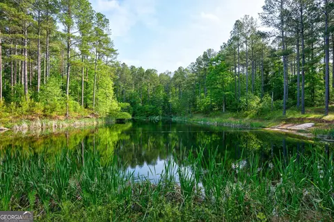 0 N Point Peter Rd, Carlton, GA 30627