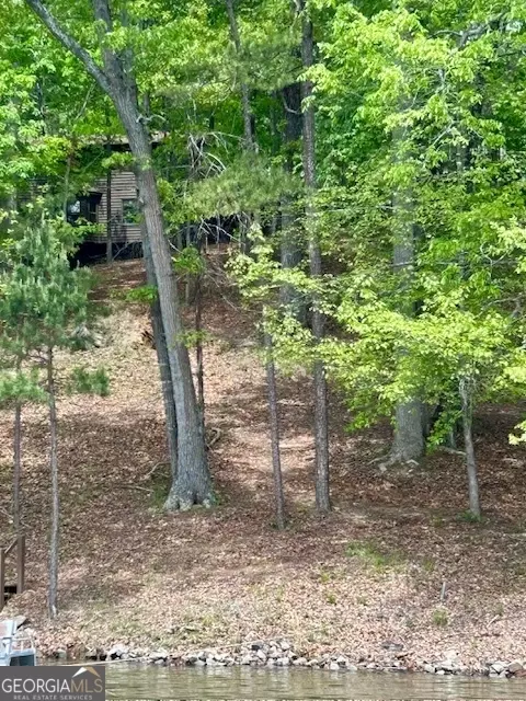 Other - 4056 Ryckeley Dr, Gainesville, GA 30504 photo 24 of 26