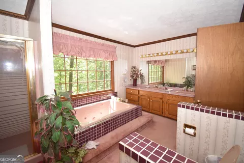 Bath - 4056 Ryckeley Dr, Gainesville, GA 30504 photo 2 of 4