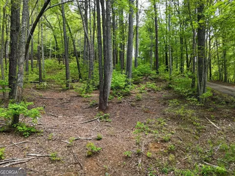 Tract 3c Riverside Drive, Hiawassee, GA 30546