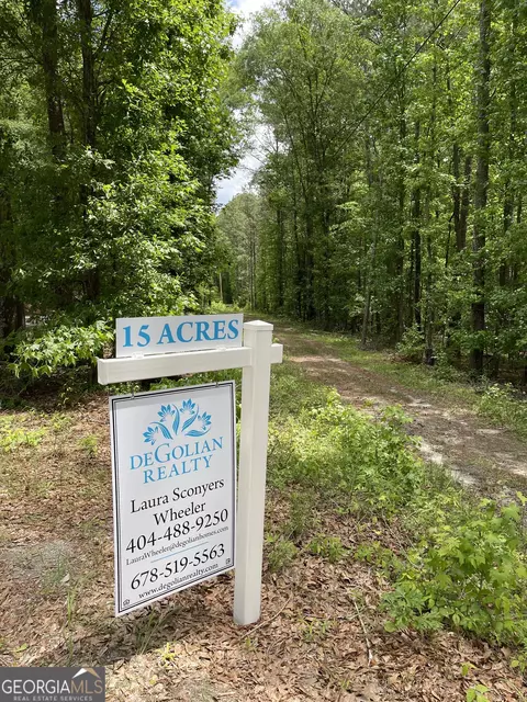 0 Mann Rd, Tyrone, GA 30290 photo 2