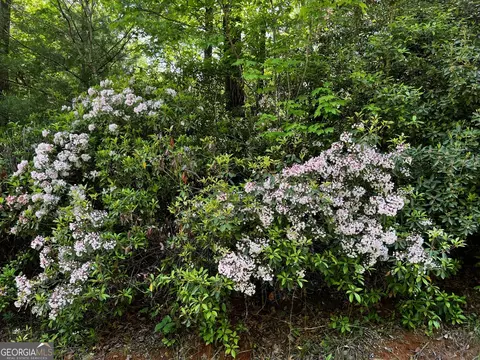 655 Sweetwater Dr, Clarkesville, GA 30523