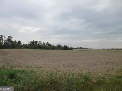 08600022 T3 Redbird Rd, Lumber City, GA 31549