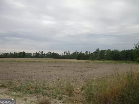 08600022 T5 Redbird Rd, Lumber City, GA 31549