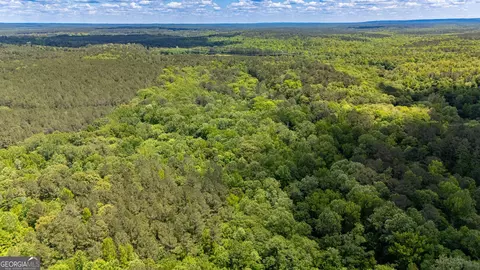 37 23 Acres 0 Smokey Rd, Lagrange, GA 30241 photo 5