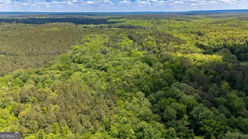  37 23 Acres 0 Smokey Rd, Lagrange, GA 30241 photo 5