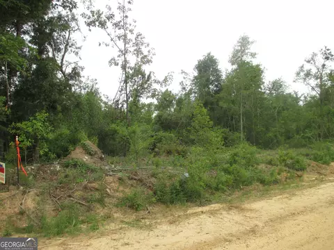 08600008 T6 Hayride Rd, Lumber City, GA 31549