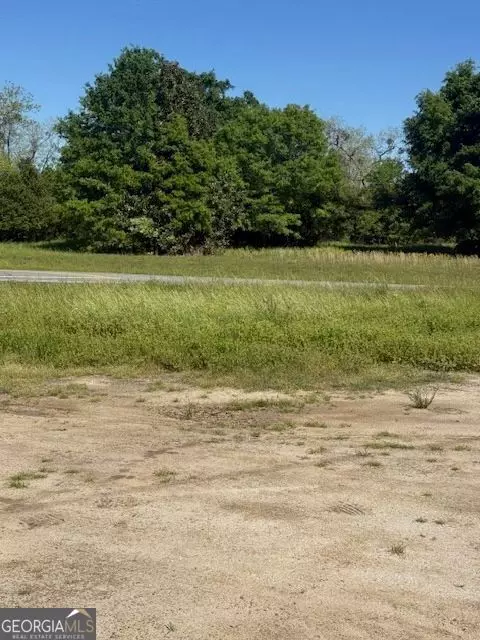 0 Georgia Hwy 257 #LOT 8, Pineview, GA 31071