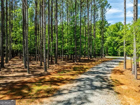 lot19 Moughon Rd, Haddock, GA 31033 photo 33