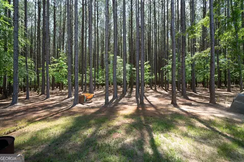 lot19 Moughon Rd, Haddock, GA 31033 photo 17