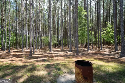 lot19 Moughon Rd, Haddock, GA 31033 photo 18