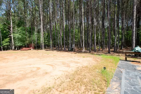 lot19 Moughon Rd, Haddock, GA 31033 photo 14