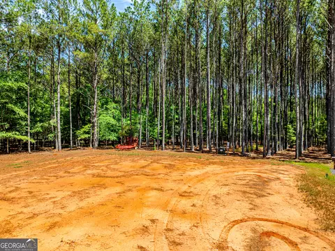 lot19 Moughon Rd, Haddock, GA 31033 photo 29