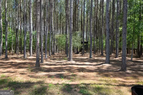 lot19 Moughon Rd, Haddock, GA 31033 photo 19