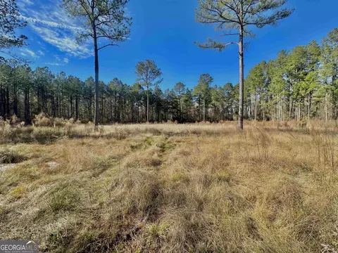 1513 Riggs Mill Ct, Statesboro, GA 30458