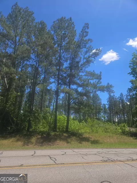 lot Apt 4 Highway 123, Mitchell, GA 30820