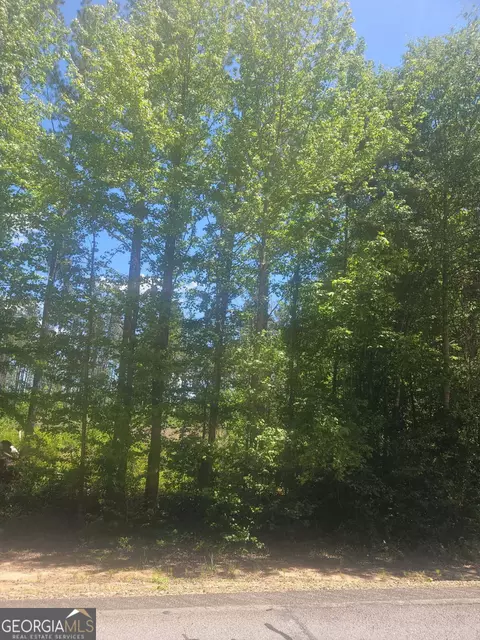 lot Apt 5 Highway 123, Mitchell, GA 30820