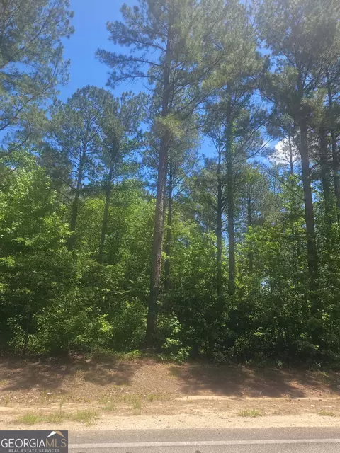 lot Apt 6 Highway 123, Mitchell, GA 30820