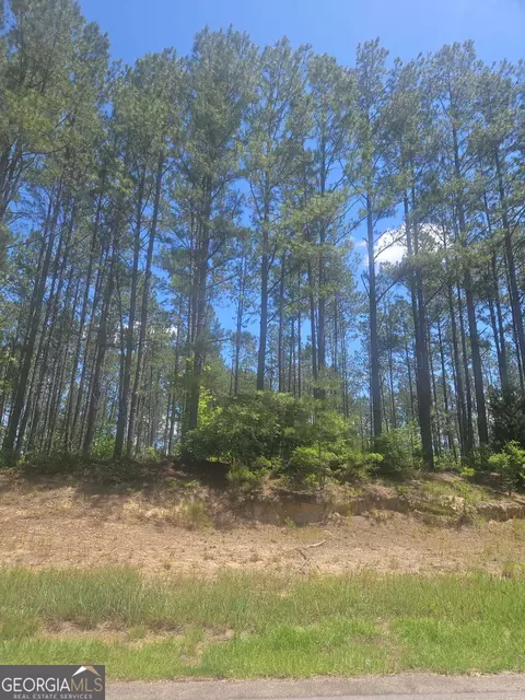 lot Apt 7 Highway 123, Mitchell, GA 30820