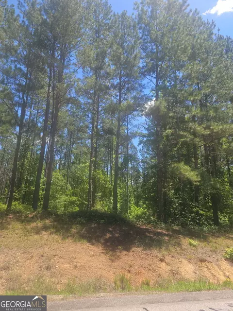 lot Apt 8 Highway 123, Mitchell, GA 30820