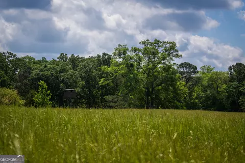 0 District Line Rd, Cuthbert, GA 39840 photo 6