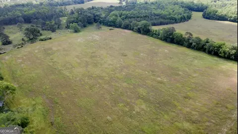 0 District Line Rd, Cuthbert, GA 39840 photo 3