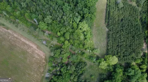 0 District Line Rd, Cuthbert, GA 39840 photo 14