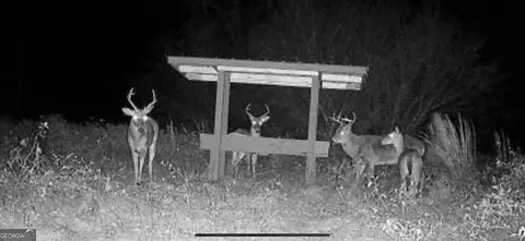 0 District Line Rd, Cuthbert, GA 39840 photo 10