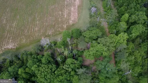 0 District Line Rd, Cuthbert, GA 39840 photo 13