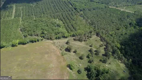 0 District Line Rd, Cuthbert, GA 39840 photo 8