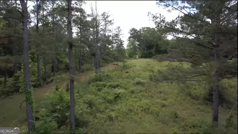 0 District Line Rd, Cuthbert, GA 39840 photo 5