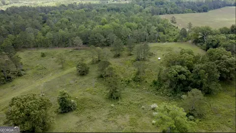 0 District Line Rd, Cuthbert, GA 39840 photo 12