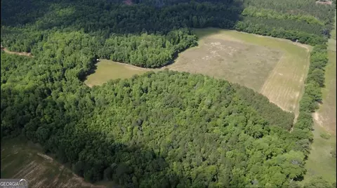 0 District Line Rd, Cuthbert, GA 39840 photo 17
