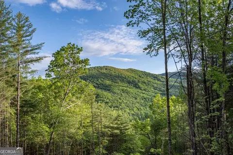 Other - 56 Devils Den Overlook, Epworth, GA 30541 photo 8 of 9