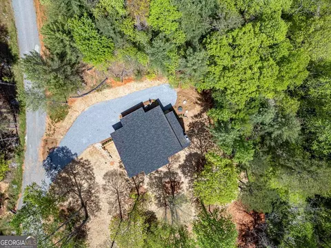 View/Area - 56 Devils Den Overlook, Epworth, GA 30541 photo 1 of 3