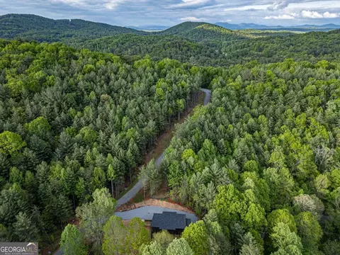 View/Area - 56 Devils Den Overlook, Epworth, GA 30541 photo 3 of 3