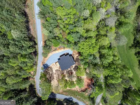 View/Area - 56 Devils Den Overlook, Epworth, GA 30541 photo 2 of 3