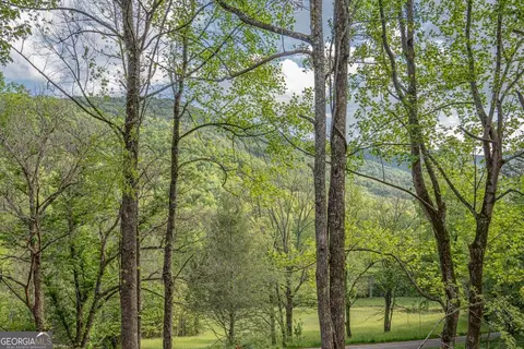 Other - 56 Devils Den Overlook, Epworth, GA 30541 photo 1 of 9