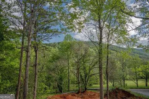 Exterior - 56 Devils Den Overlook, Epworth, GA 30541 photo 7 of 21