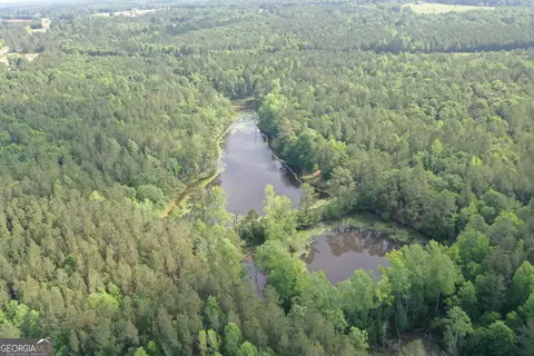 0 N Hwy 171, Gibson, GA 30810