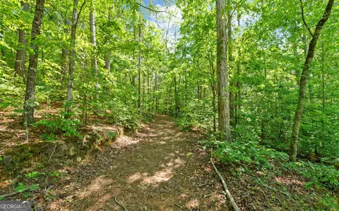 Other - 446 Mcmurray Lake Rd, Toccoa, GA 30577 photo 10 of 11