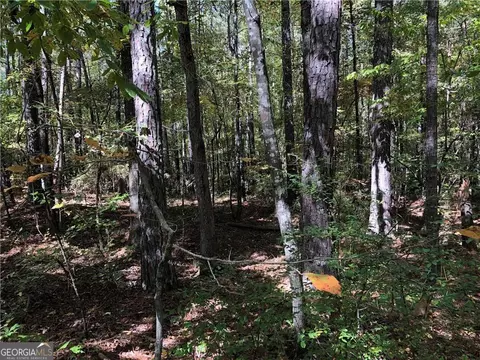 0 Coady Rd, Jackson, GA 30233 photo 2