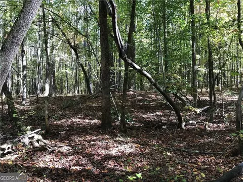0 Coady Rd, Jackson, GA 30233 photo 6